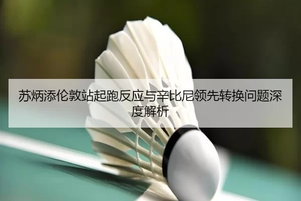 su-bing-tian-lun-dun-zhan-qi-pao-fan-ying-yu-xin-bi-ni-ling-xian-zhuan-huan-wen-ti-shen-du-jie-xi-2-536.jpg